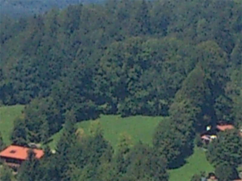 hos1.jpg