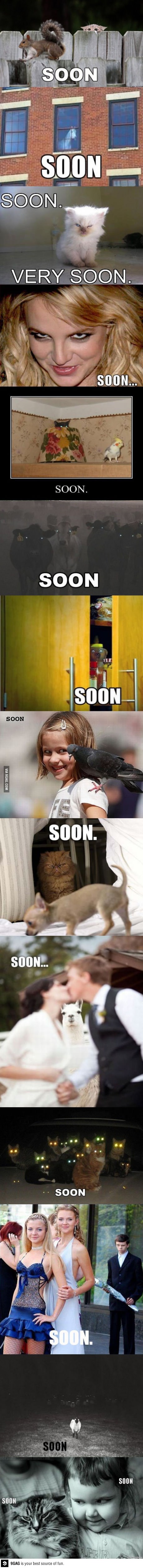 soniccore-staff-on-scope6-release-date.jpg