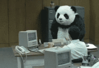 panda computer.gif