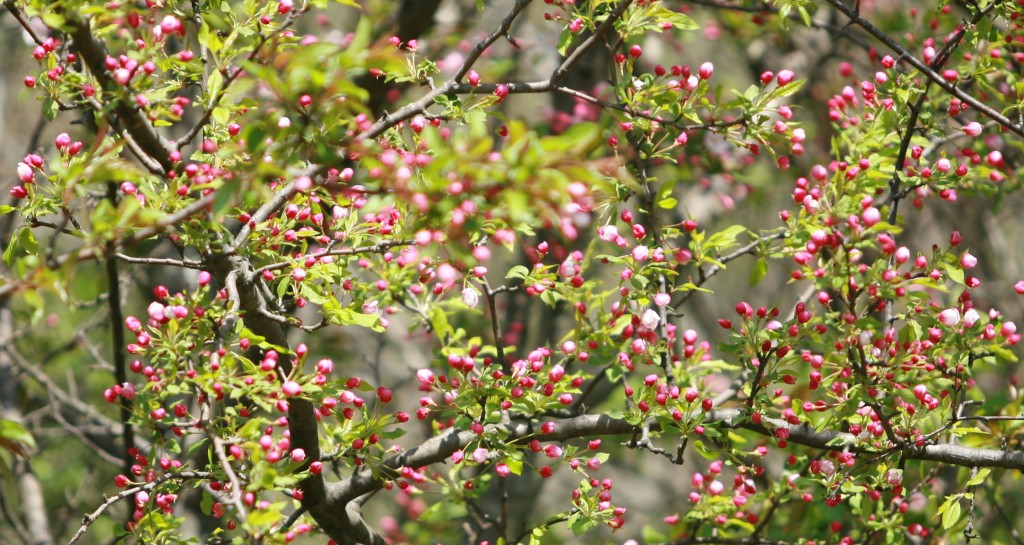 Strong evidence of spring :-)