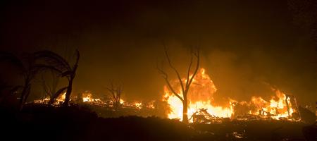 cafires2.jpeg