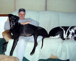 Lapdogs.JPG