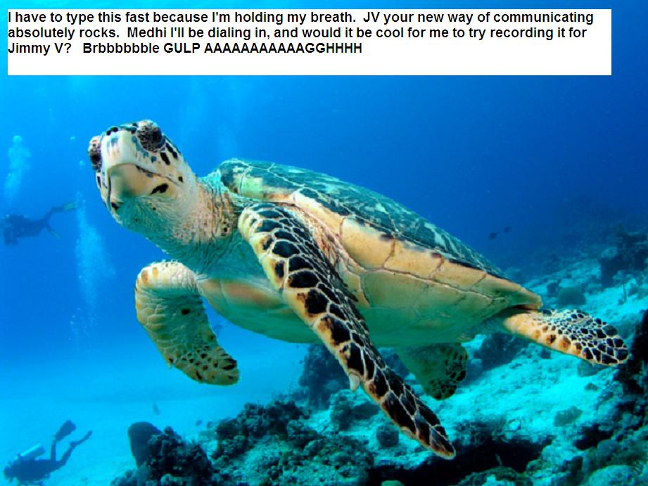 turtles all the way down.JPG