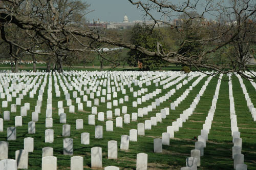 arlingtoncemetary.JPG