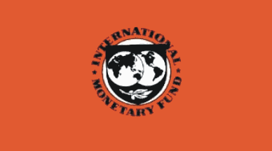 int-imf.gif